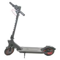 Electric Scooter Dual Motor Driv