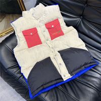 Embroidered Down Vest Coats For Women and Men Winter Fashion...