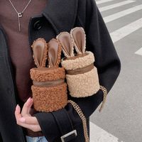 Abendtaschen Herbst und Winter Plüsch hochwertiger Textur Umhängetaschen Mode Mini Kette Frauen Designer Messenger Bucket