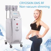 Cryoskin RF EMS Vücut Zayıflama Kriyolipoliz Makinesi Son Cryo Plaka Serin Vücut Heykel Yağ Dondurucu Salon Masaj Cihazı