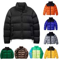 1996 North Men Designer Jacket Win Winter Winter Coat Shicay Men Coat Complements Outdoor Switsed Quipper with Letters S-3XL Size Logo Matery 5A Quality