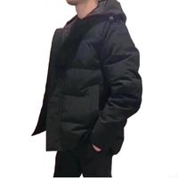 최고 버전 남성용 다운 재킷 NFC 늑대 코트 남자와 여자 원정대웨어 윈드 방향 및 방수 후드 디자인 유럽 크기