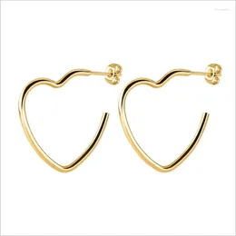 Stud Earrings PE079 Titanium Brief Hook Design For Women Men 316l Stainless Steel Earring IP Plating No Fade Allergy Free