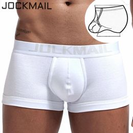 Underpants JOCKMAIL Sexy Men Underwear Penis Ring Pouch U Convex Low Waist Breathable Gay Boxer Cotton Bullets Separated Solid White