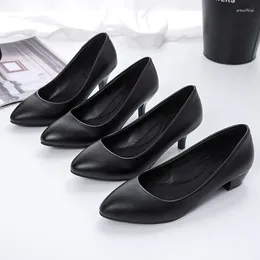 Dress Shoes Spring Work Black Professional Women High Heels Pumps Low-heeled Leather Office Career Formal