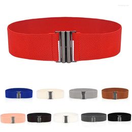 Belts High Quality Womens Lady Elastic Cinch Belt Wide Stretch Waist Band Clasp Buckle 1PC
