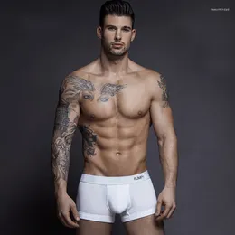 Underpants Sexy Man Soft Underwears Boxer Shorts Men Fashion Penis Pouch Men's Trunks Gay Male Panties Calzoncillos Hombre
