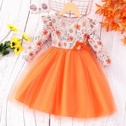 Girl Dresses 2-7Years Baby Girls Toddler Princess Dress Infant Long Sleeve Lace Tulle Patchwork Swing Spring Party Gown Costumes