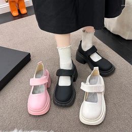 Dress Shoes Pink Mary Jane Women 2024 Spring Autumn Round Toe Platform Heels Japanese Girl Lolita Solid Simple Women's Pumps