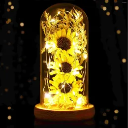 Decorative Flowers Dried Sunflower Lights For Decoration Home Household Enchanted Lamp Glass Gifts Indoor Office