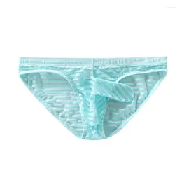 Underpants Men's Stripe Mesh Elephant Nose Pouch Briefs Ultra-Thin Bikini Slip Homme Ice Silk Transparent Jockstrap Tanga