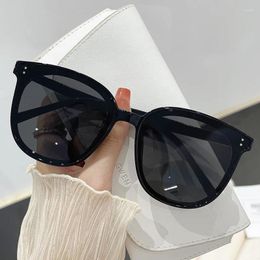 Sunglasses Small Frame Oval Square Women's Brand Designer Fashion Sun Glasses Men Outdoor Travel Eyewear UV400