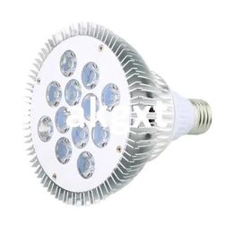 Lighting Details about Ultra Bright CREE 24W E27 PAR38 Warm White LED Light Bulb Lamp 86265V G9#D504