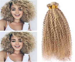 Piano 27613 Mixed Colour Brazilian Virgin Human Hair 3Pcs Kinky Curly Piano Honey Blonde Highlight Blonde 2Tone Human Hair Weave 4482921