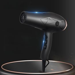 Hair Dryer Dormitory Anion Constant Temperature Quick-Drying Hair Dryer Household High-Power Hair Salon Barber Shop Hair Dryer