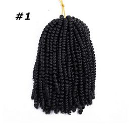 Synthetic Crochet Braiding Hair Single Ombre Color Spring Synthetic Hair Extensions 110g 60Strands Selling7882683