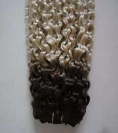 kinky curly weave hair Bundles 100 Human Hair Bundles 1pc Natural Non Remy ombre Curly wave curly virgin hair weave39919912222663