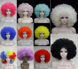 beautiful charming Fashion 11 Colours Afro wig fluffy Cosplay Anime Carnival party Wigs Hivision 60184583629