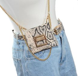 European American Snake Python Pattern Belts Women Versatile Metal Chain Mini Wallet Mobile Phone Bag Belt4728494