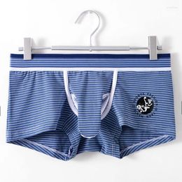 Underpants Men Sexy Elephant Nose Trunks Stripe Printed Underwear Briefs Breathable Sports Separation Boxer Knickers