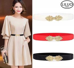 Fashion women039s belt decoration with skirt elastic waist cover wide and narrow elastic belt multiple styles5867562