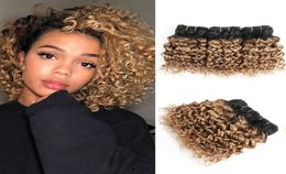 1B 27 Ombre Honey Blonde Deep Curly Hair Bundles 10 12 14inch 3 Bundles Brazilian water Wave Hair Remy Human Hair Extensions Whole5104170