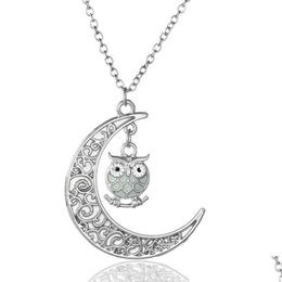 Pendant Necklaces Cartoon Mticolor Luminous Owl Necklace Pendant Moon Glowing In The Dark Animal Charm Necklaces Fashion Jewlery For W Dhzl6