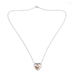 Pendants 5X Double Heart Rose Gold Cremation Urn Necklace Pendant Funnel Fill Kit Keepsake Memorial Ashes