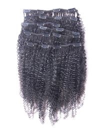 virgin Afro Kinky Curly Clip in Human Hair Extensions Natural Black Full Head Brazilian Remy Hair Clip ins 5505125