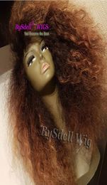 Super Natural Synthetic Two Tone Black Ombre Brown Color Hair African American Wig Heat Reistant Kinky Curly Lace front wigs for W5086459