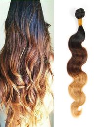 Brazilian Body Wave Two Tone Colour Ombre Human Remy Hair Weaves T1B27 T1B30 T1B99J Brown Burgundy Red Double Wefts2481841