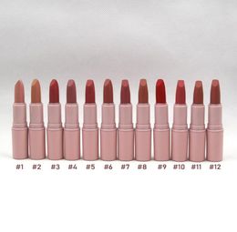 Pink Matte lipstick Shades Longlasting Easy to Wear Natural 12 Colours Makeup Wholesall Lip Stick5046019