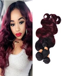 Ombre Brazilian Virgin Hair Weaves Bundles Two Tone 1B99J Wine Red Brazilian Peruvian Malaysian Body Wave Human Hair Extensions2073880