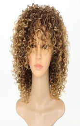 Kinky Curly Wigs for Black Women Blonde Synthetic Hair Color T2730 Blonde Afro Wig 16 Inches7661135
