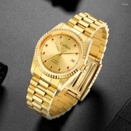 Wristwatches CADISEN Men's Watches 2024 MIYOTA 8215 Movt Luxury Automatic Watch Mechanical Wristwatch For Man AR Sapphire Glass Clock