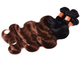 Brazilian Ombre Human Hair 3 Bundles Two Tone 1B30 Auburn Brown Hair Weave Whole Body Wave Virgin Human Hair Extensions6651145