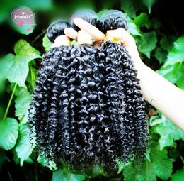 Fast Brazilian Kinky Curly Hair Weft Human Hair 830 inch Peruvian Indian Malaysian Hair Extensions Dyeable2262530