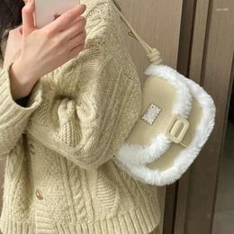 Evening Bags 2024 Vintage Cute Fur Women's Handbag Korean Minimalist Fashion Mini Women Shoulder Bag Versatile Ins Girls Underarm