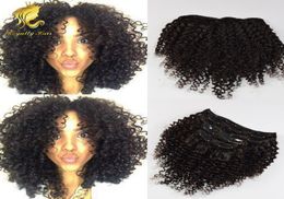 Mongolian Virgin Hair African American afro kinky curly hair clip in human hair extensions natural black clips ins8184490