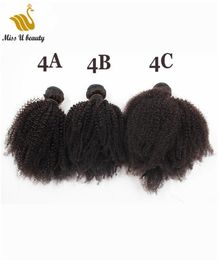 4a 4b 4c Afro Kinky Curly Human Hair Weave Bundles Virgin HairExtensions Cuticle Aligned 1020inch5733616