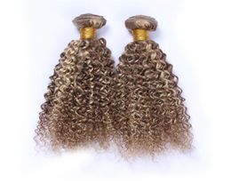 Piano 8613 Mixed Colour Peruvian Virgin Human Hair 3Pcs Kinky Curly Light Brown Highlight Blonde Two Tone Human Hair Weave Bundle1848418