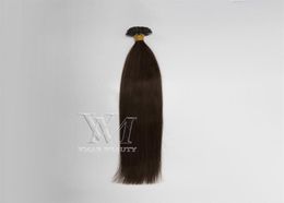 VMAE Top Burmese Natural Color 100g Straight Prebonded colorful 100G Keratin I U Flat Tip Keratin Nail Human Hair Extension19366536545412