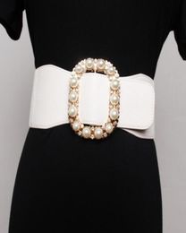 Women039s runway fashion pearl buckle elastic Cummerbunds female Dress Corsets Waistband Belts decoration wide belt R31763623017