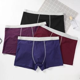 Underpants Cotton Men Boxer Men's Panties Underwears Breathable Male BoxerShorts Plus Size XL-4XL Comfortable Boxers