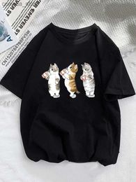 Men's T-Shirts Funny Orange Cats Summer Women T-shirts Girl Animal Pet Love Style Short Sleeve Print Fashion Clothing Female Ladies Graphic Tee Q230102