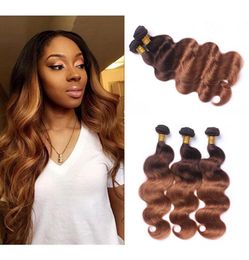 Ombre 430 Body Wave 3 Bundles Brazilian Remy Human Hair Weaves Ombre Colour Two Tone Dark Brown to Medium Auburn Hair Extensions7949655