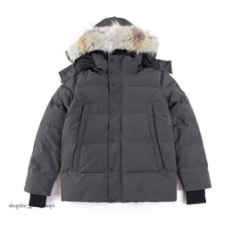 Canda Gooses Designer Men's Down Jacket Women's Jacket Parkers Winter Hooded Thick Warm Coats Female 939