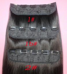 110g Brazilian Remy Human Hair Clip in Extensions Straight Clip on Human Hair Pieces 1B 2 8 Brown 613 Blonde 5 clips Hair7572695