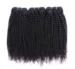 Afro Kinky Curly Hair Bundles Brazilian Peruvian Indian Virgin Hair 3 or 4 Bundles 1028 Inch Remy Human Hair Extensions3748188