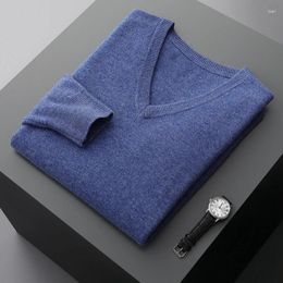 Men's Sweaters ZOCEPT Pure Wool Sweater For Men Autumn Wwinter Work Casual Soft Warm Knitted Jumper V-Neck Man Pullover Jersey Hombre